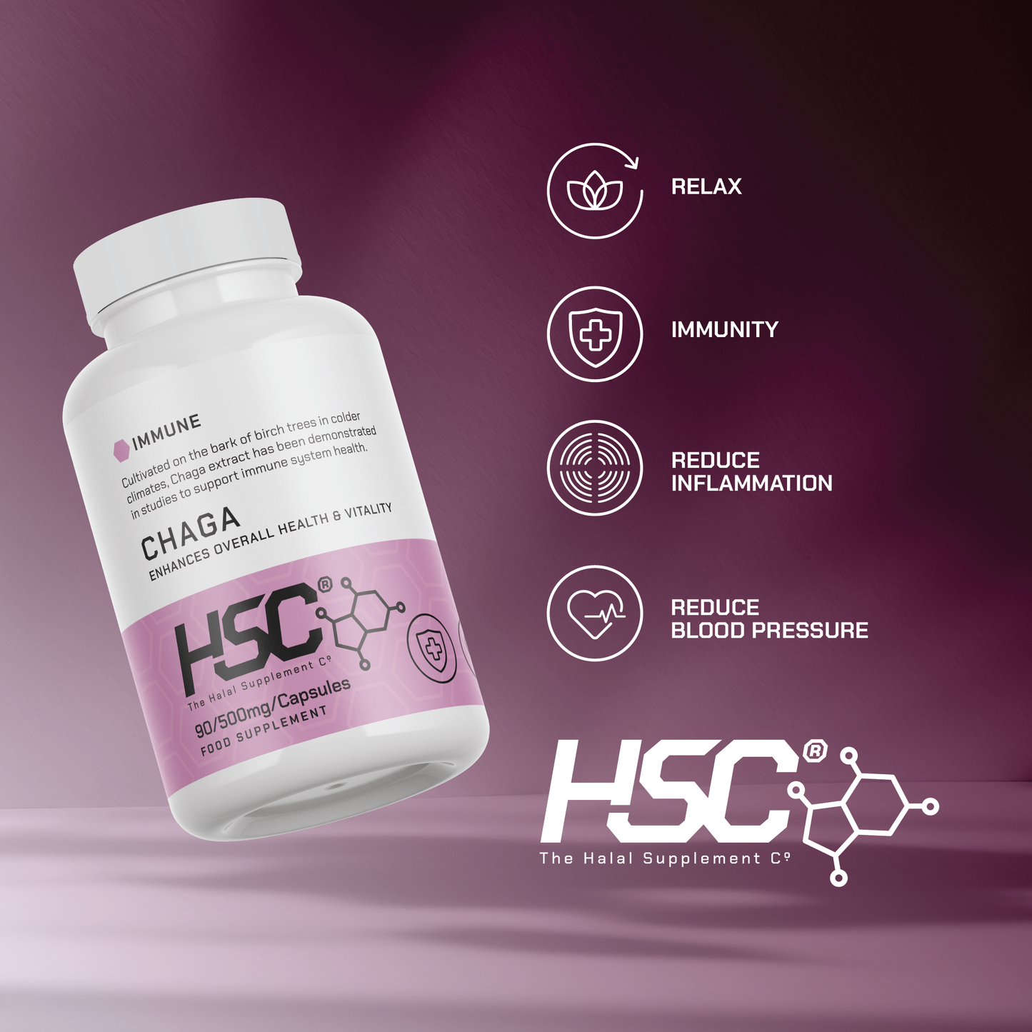 Chaga Mushroom Capsules 500mg