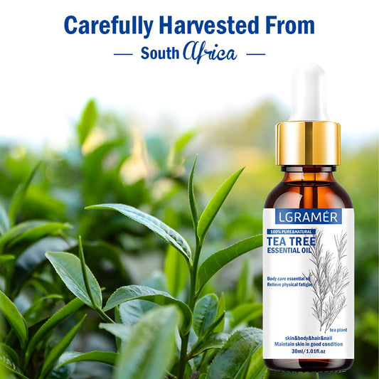 Tea Tree Scented Oil - 30ml Woody Fragrance