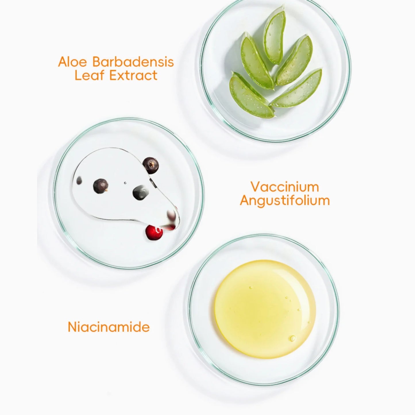 Limpiador facial con vitamina C (50 g) - Producto coreano para el cuidado de la piel