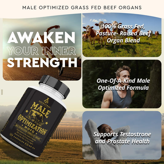 Ancestral Mofo Grass-Fed Beef Organ Supplement for Men – Energy & Vitality