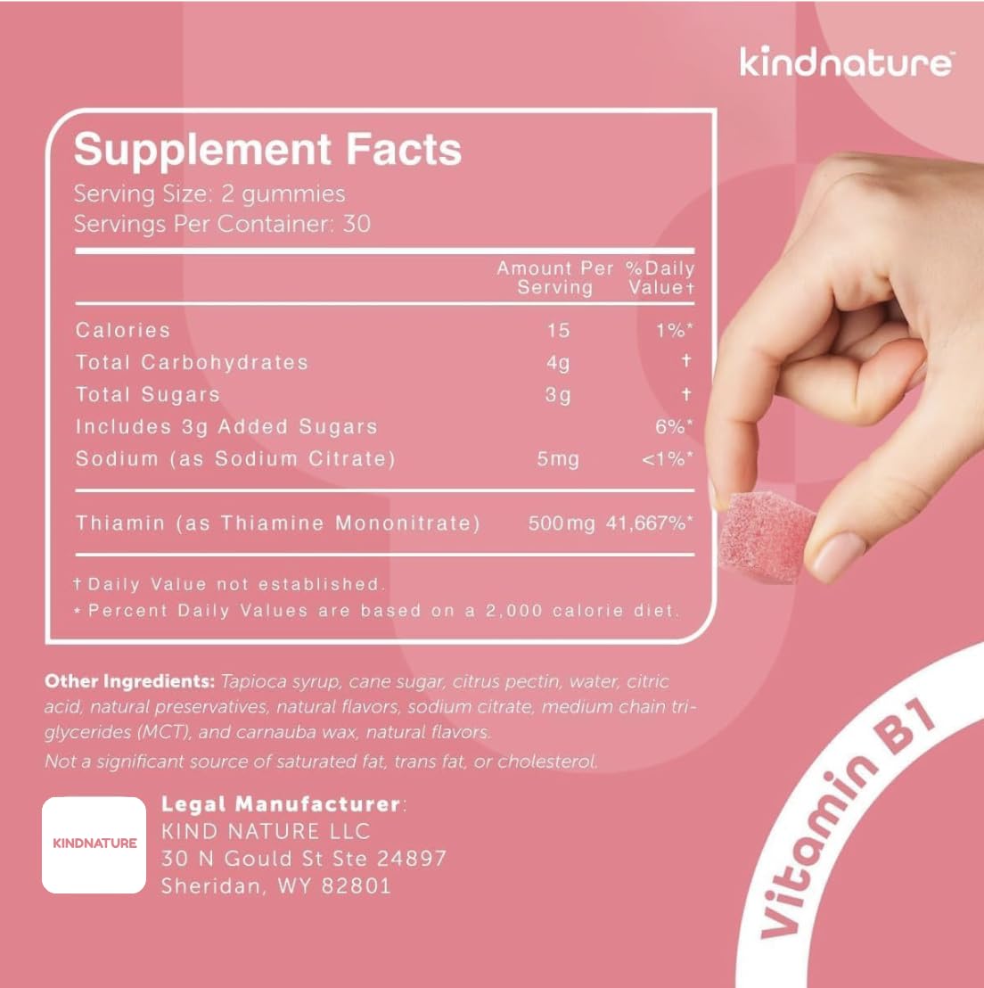 kindnature Vitamin B1 Gummies 500mg – Thiamine for Energy & Focus, 60ct