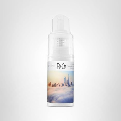 R+Co Skyline Dry Shampoo Powder — TSA-Approved, 1fl oz