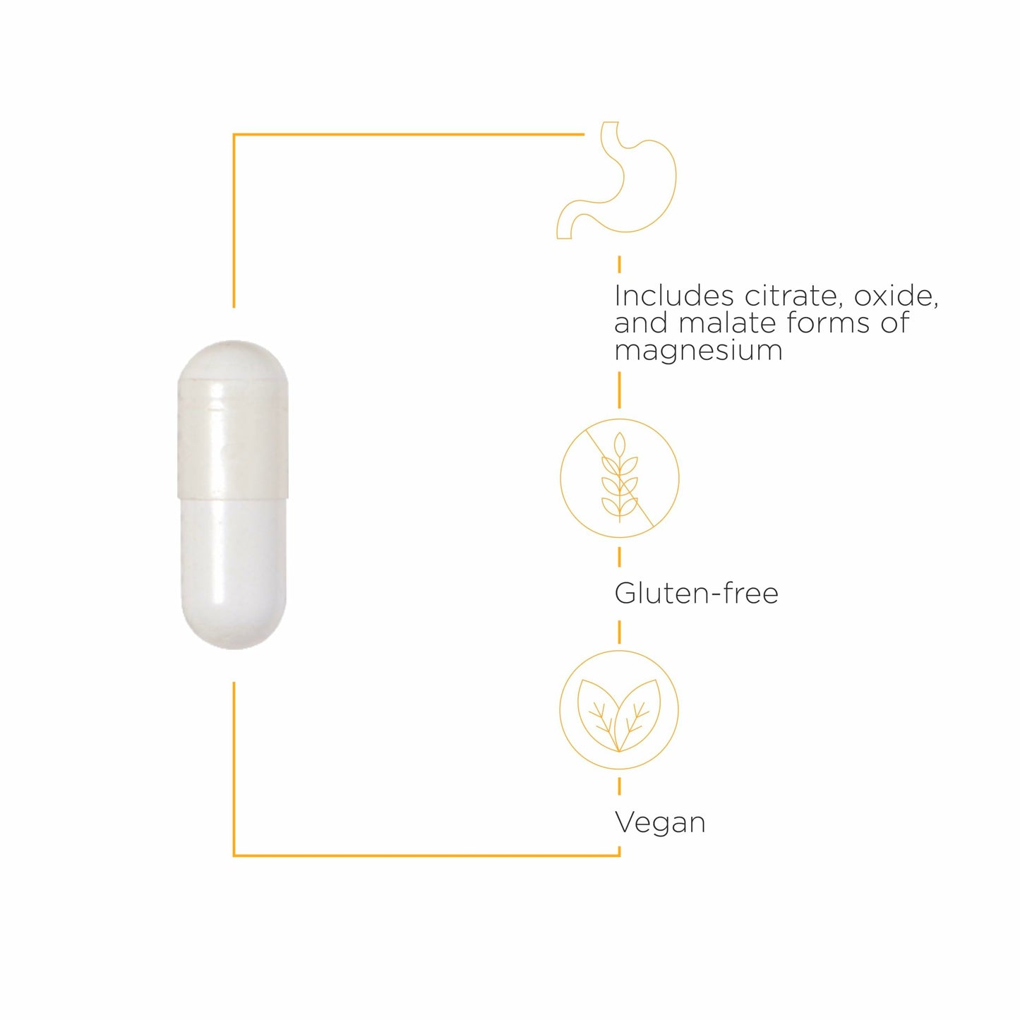 Integrative Therapeutics Tri-Magnesium – Cellular Energy & Muscle Support | 180 Capsules