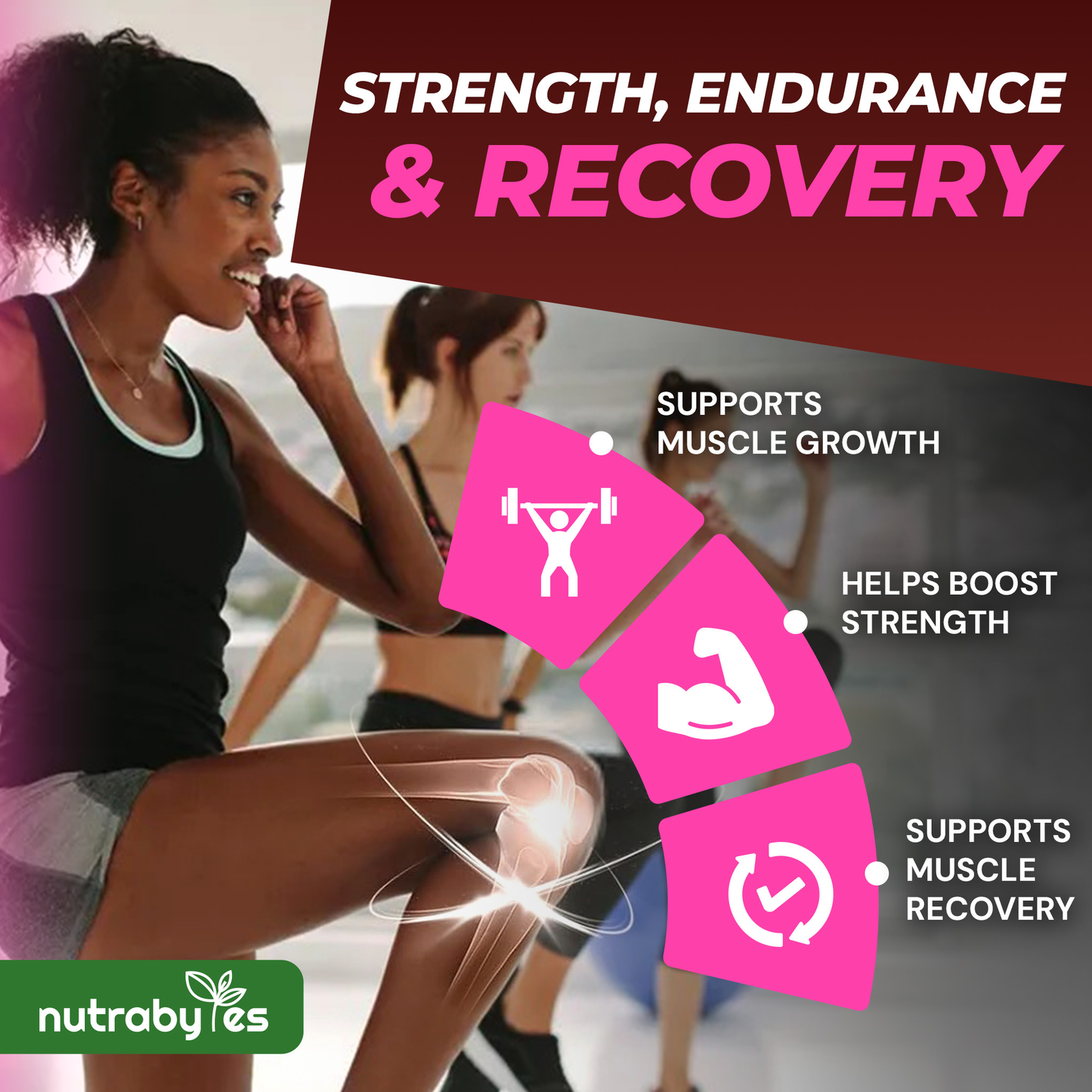 Collagen Powder with Creatine Monohydrate | Bovine Collagen & Micronised Creatine | Unflavoured | 405g