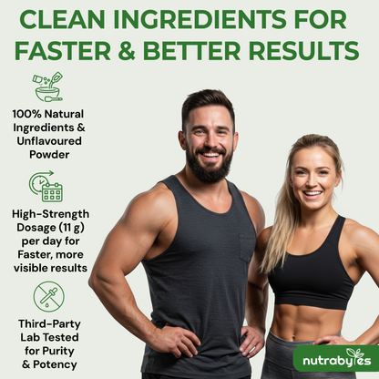 Bovine Collagen Powder with Vitamin C | Hydrolysed Peptides Types 1 & 3 | Unflavoured | 330g