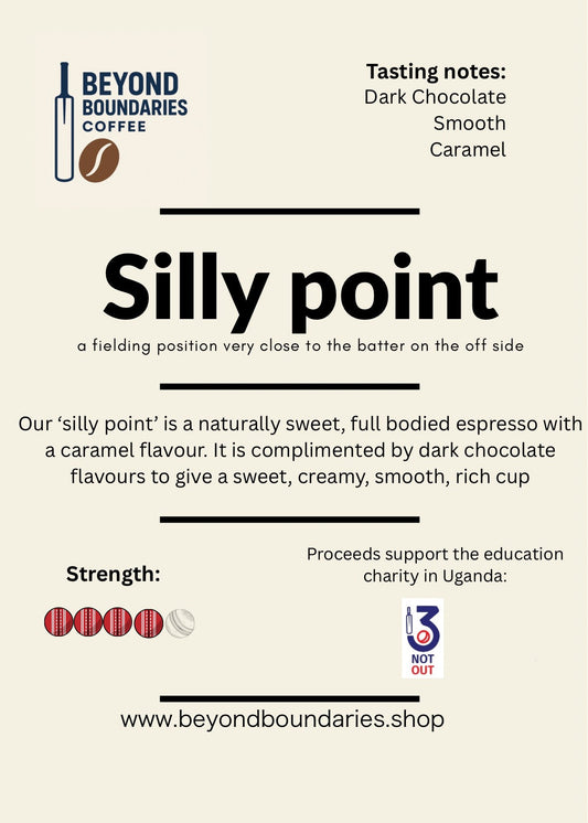 Silly point 250g