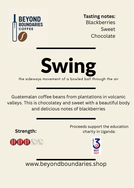 Swing 1kg