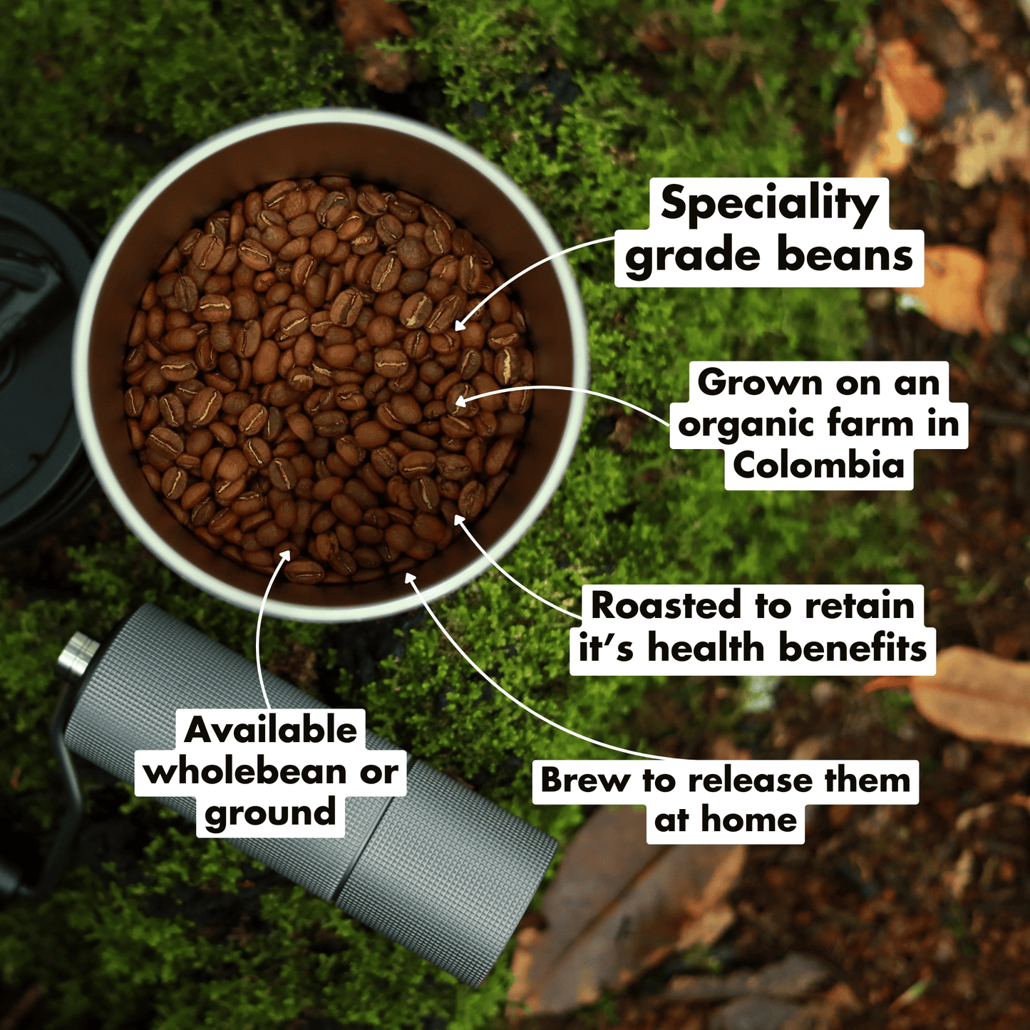 Organic Dark Roast Coffee
