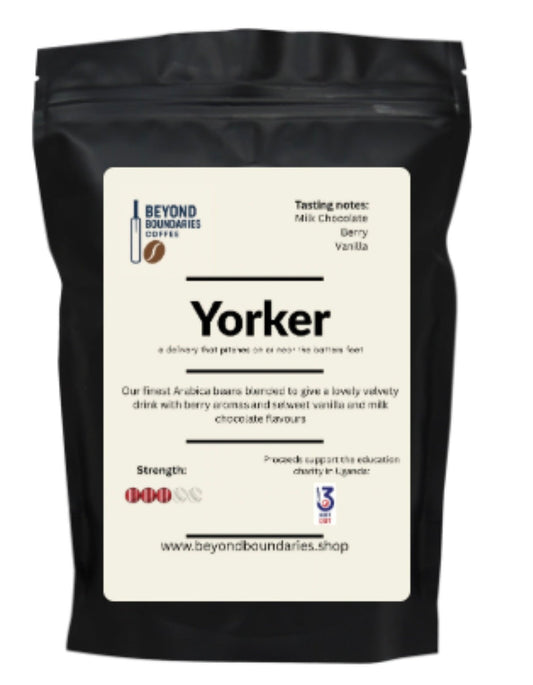 Yorker 500g