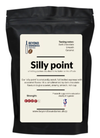Silly point 500g