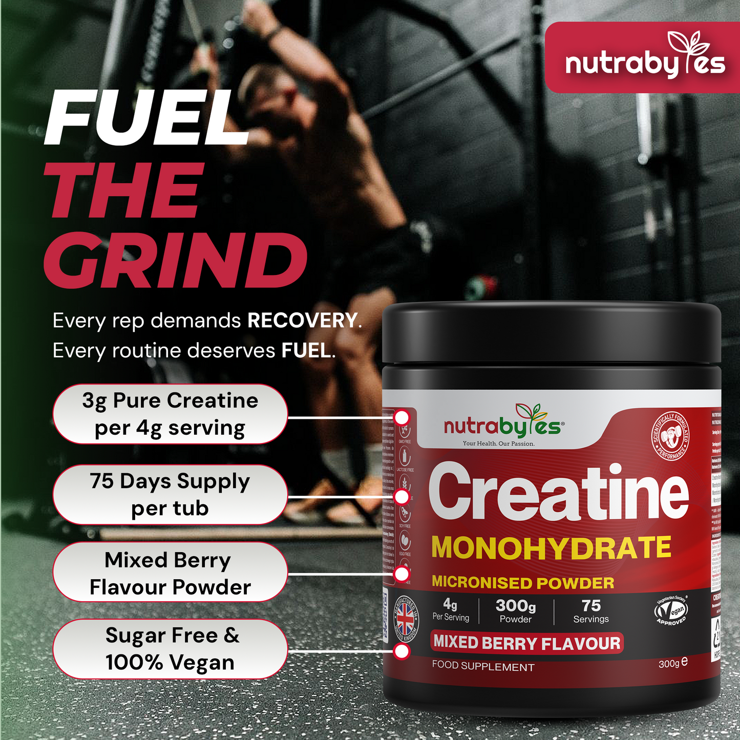Creatine Monohydrate Powder 300g | Pure Micronised | 75 Servings | Mixed Berry Flavour | Vegan