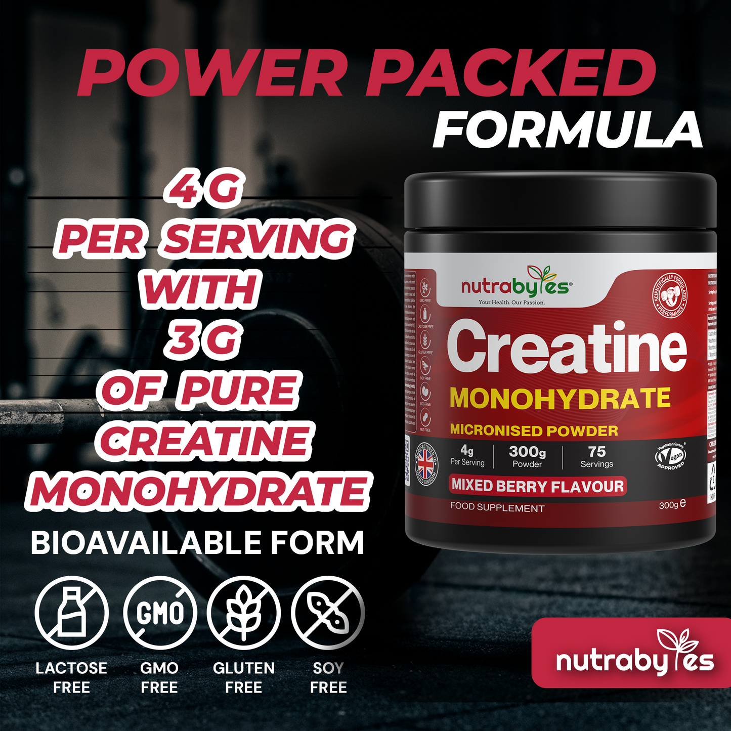Creatine Monohydrate Powder 300g | Pure Micronised | 75 Servings | Mixed Berry Flavour | Vegan