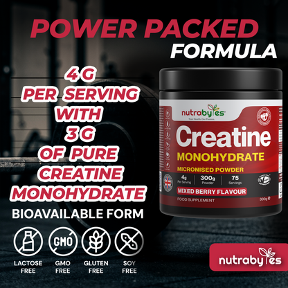 Creatine Monohydrate Powder 300g | Pure Micronised | 75 Servings | Mixed Berry Flavour | Vegan
