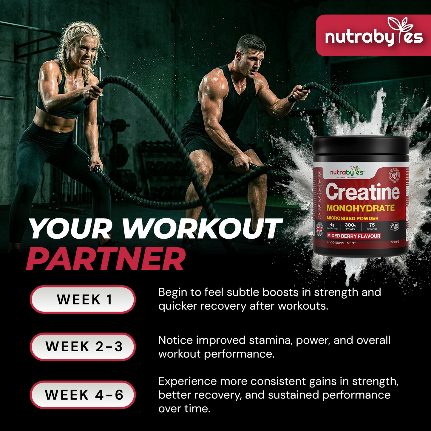 Creatine Monohydrate Powder 300g | Pure Micronised | 75 Servings | Mixed Berry Flavour | Vegan