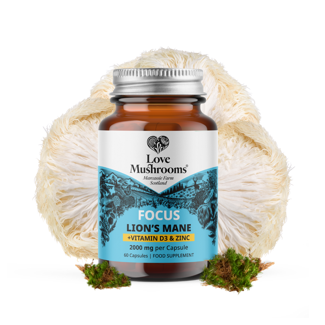 Love Mushrooms FOCUS Lion’s Mane, D3 & Zinc Capsules