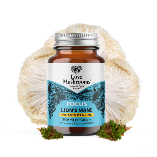 Love Mushrooms FOCUS Lion’s Mane, D3 & Zinc Capsules