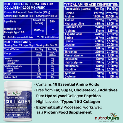 Premium Marine Collagen Powder 10,000mg | Pure Hydrolysed Peptides | Unflavoured | Made in Sweden