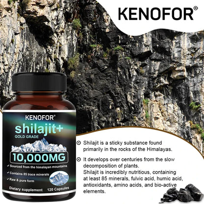 Pure Shilajit Capsules