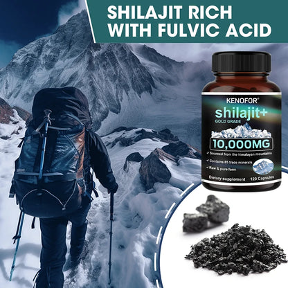 Pure Shilajit Capsules
