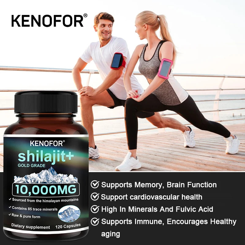 Pure Shilajit Capsules