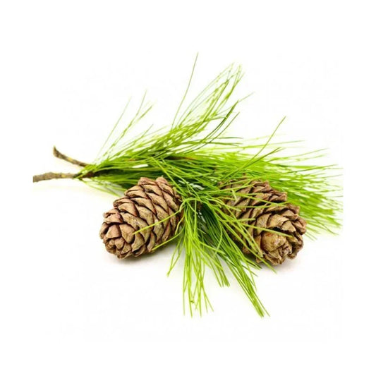 Aceite de cedro AKARZ - Aceite difusor y perfumador premium