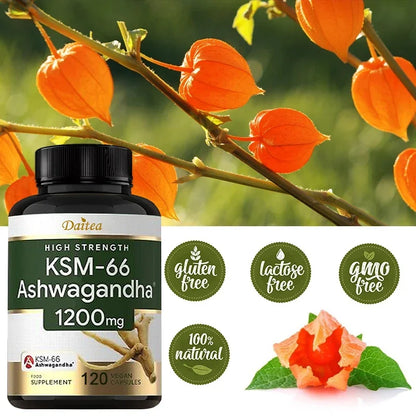 KSM-66 Ashwagandha Extract Capsules 1200mg