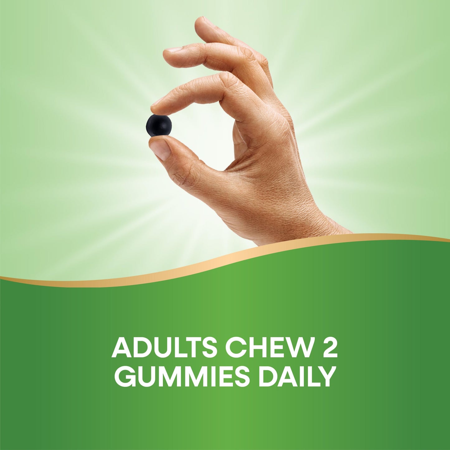 Nature’s Way Chlorofresh Chlorophyll Gummies — Orchard Fruit, 60 Count