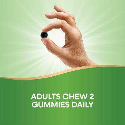 Nature’s Way Chlorofresh Chlorophyll Gummies — Orchard Fruit, 60 Count