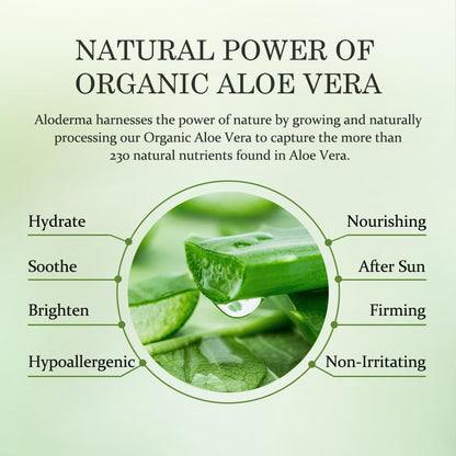 Aloderma Fresh Aloe Vera Face Hydrator — 99.8% Organic, 240ml - Calm Era