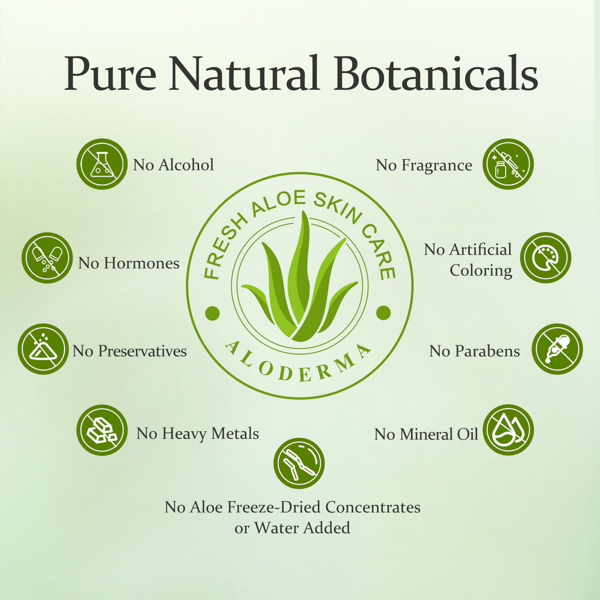 Aloderma Fresh Aloe Vera Face Hydrator — 99.8% Organic, 240ml - Calm Era