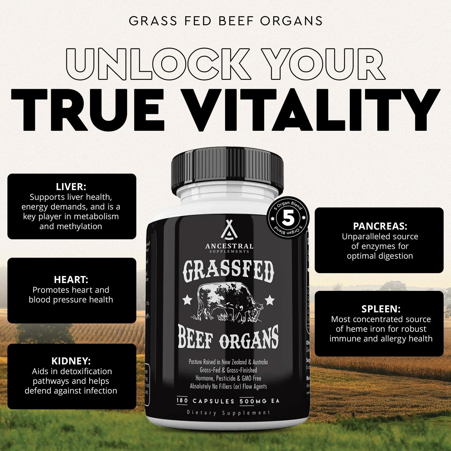 Ancestral Supplements Grass-Fed Beef Organs 180ct | 5-Organ Blend