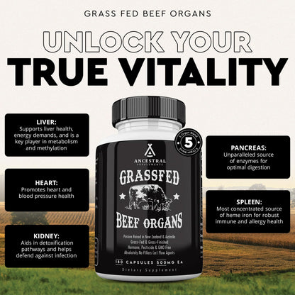 Ancestral Supplements Grass-Fed Beef Organs 180ct | 5-Organ Blend