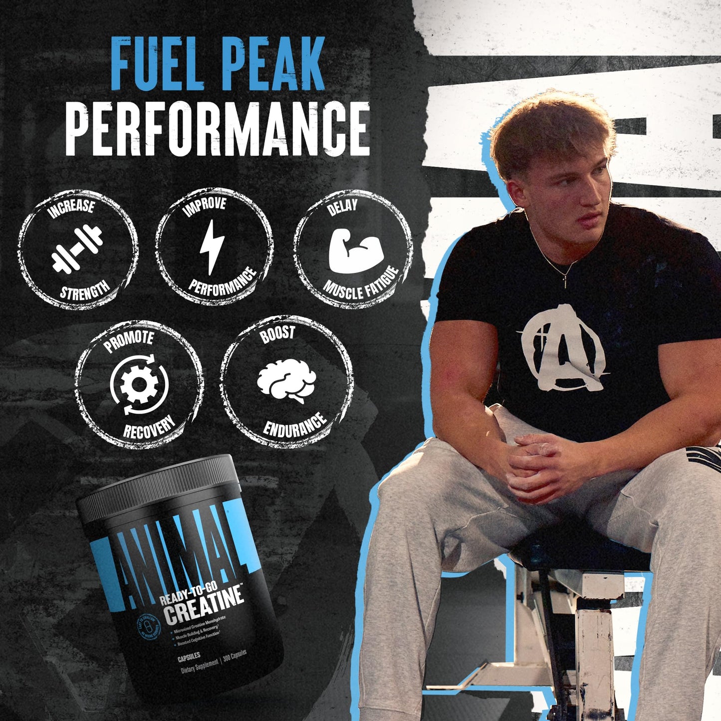 Animal Micronized Creatine Monohydrate Capsules | 300 Caps