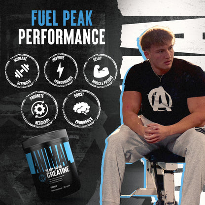Animal Micronized Creatine Monohydrate Capsules | 300 Caps