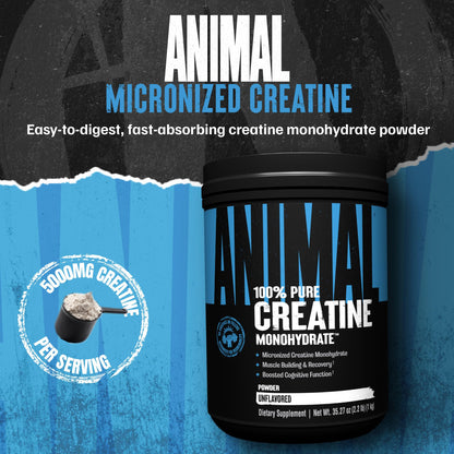 Animal Creatina Monohidratada en Polvo – Sin Sabor | 1kg