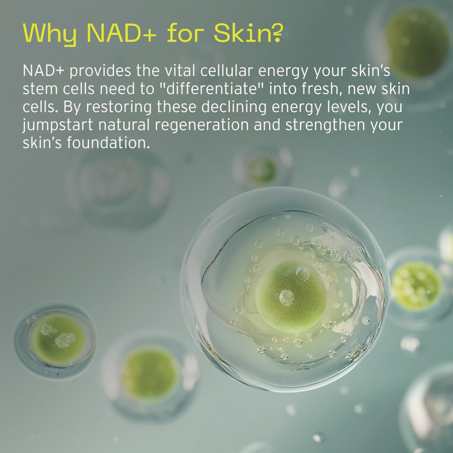 Aramore NAD+ Cell Energizing Skin Care Treatment 15ml