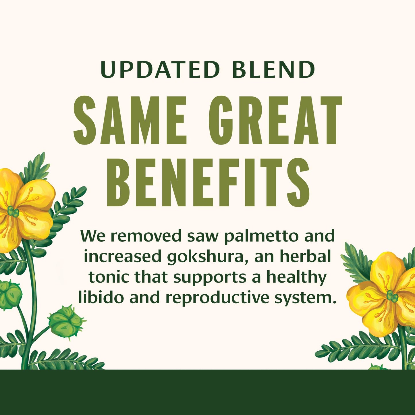 Banyan Botanicals Men’s Support Tablets – Ashwagandha, Gokshura & Mucuna 90 Tablets