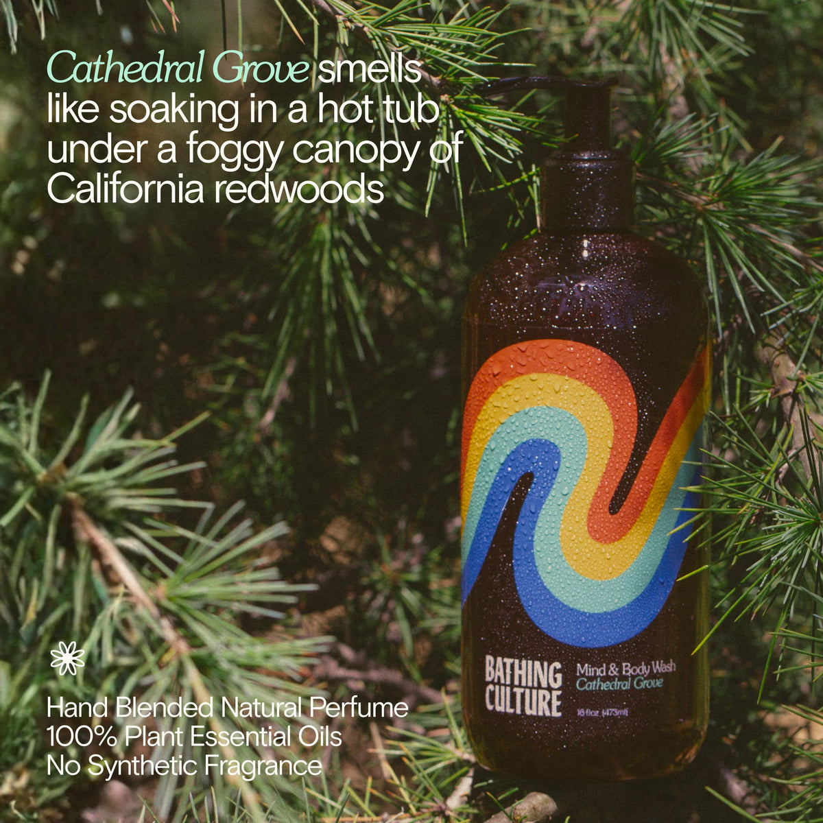 Bathing Culture Cathedral Grove Organic Mind + Body Wash — 16oz - Calm Era