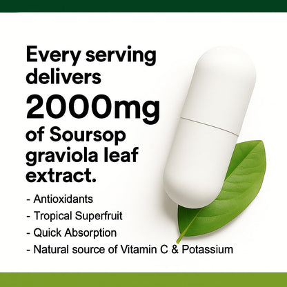 Biolore Pure Soursop Graviola Capsules — 120 Count, 60-Day Supply - Calm Era