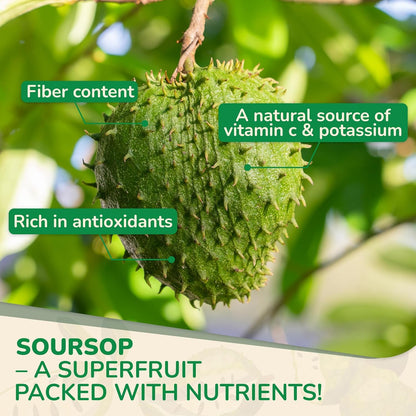 Biolore Soursop Graviola Gummies — 30-Day Supply, Sugar-Free, Vegan