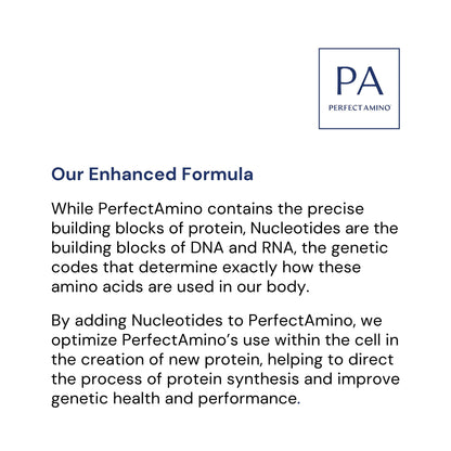 BodyHealth PerfectAmino Vegan Amino Acid Tablets 600ct | BCAAs