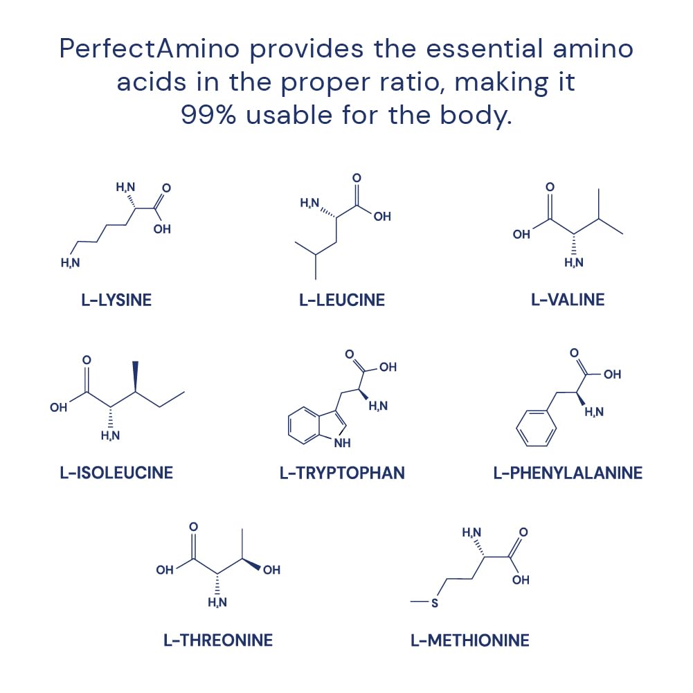 BodyHealth PerfectAmino Vegan Amino Acid Tablets 150ct | BCAAs