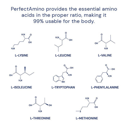 BodyHealth PerfectAmino Vegan Amino Acid Tablets 150ct | BCAAs