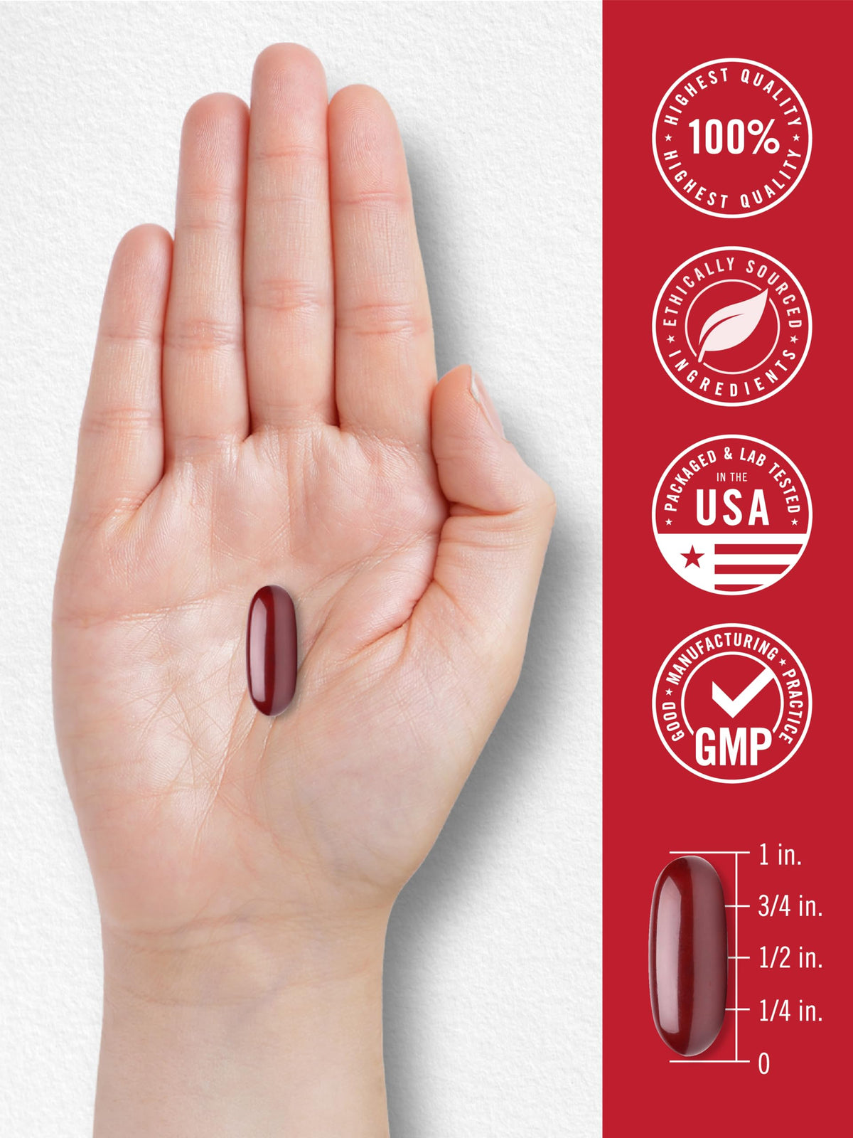 Carlyle Antarctic Krill Oil 2000 mg – 120 Softgels (Pack of 2) | Omega-3 EPA/DHA + Astaxanthin - Calm Era