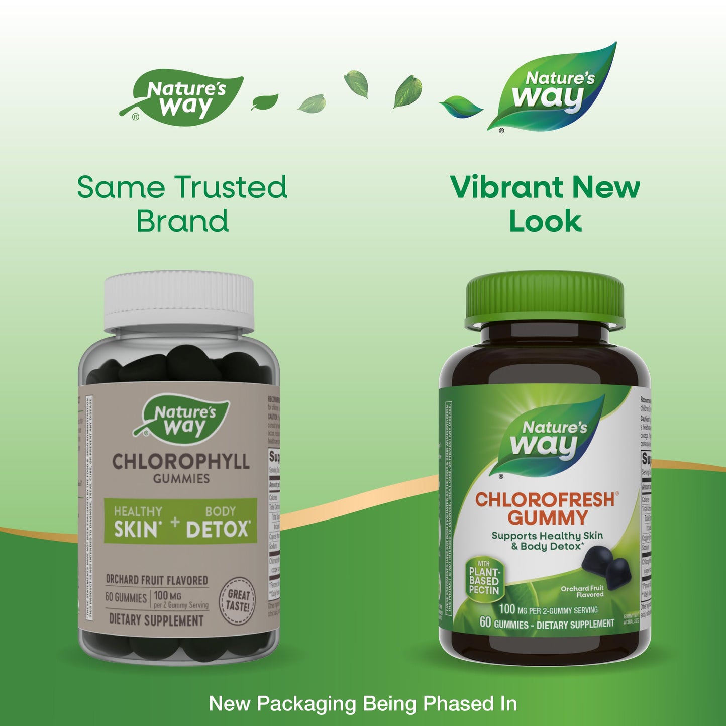 Nature’s Way Chlorofresh Chlorophyll Gummies — Orchard Fruit, 60 Count