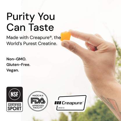 Create Creatine Monohydrate Gummies 1.5g | Vegan Anti-Melt Orange