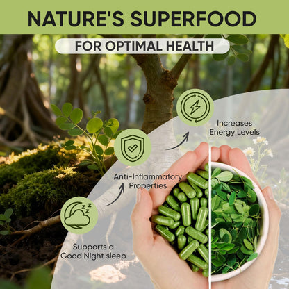 Golden Chapter Moringa Capsules with Iron, Magnesium, B12 & Vitamin C 60ct