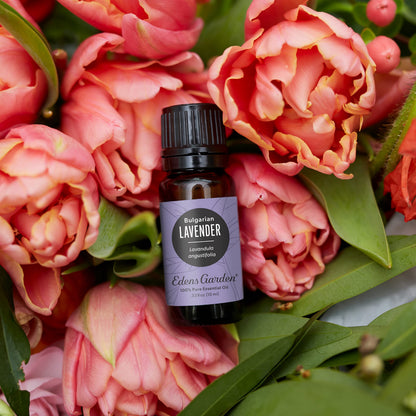 Edens Garden Lavender Bulgarian Essential Oil 10ml