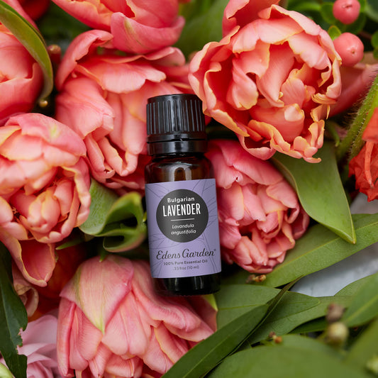 Edens Garden Lavender Bulgarian Essential Oil 10ml