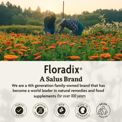 Floradix Iron & Herbs – Liquid Iron Supplement for Energy (16.9 fl oz)